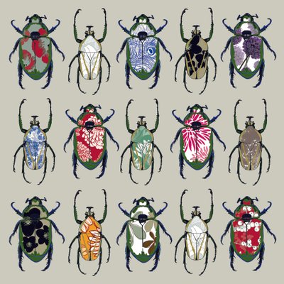 Beetledrive, 2008 da Sarah Hough