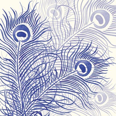 Parata del pavone, 2004 da Sarah Hough