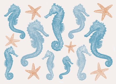 Cavallucci Marini e Stelle Marine, 2017 da Sarah Hough