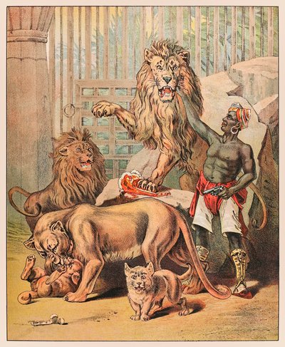 Leoni che si esibiscono con il loro addestratore al Circo Barnum & Bailey dal Menagerie di P.T. Barnum pubblicato nel 1888, illustrazione di Sarah J. Burke da Sarah J. Burke
