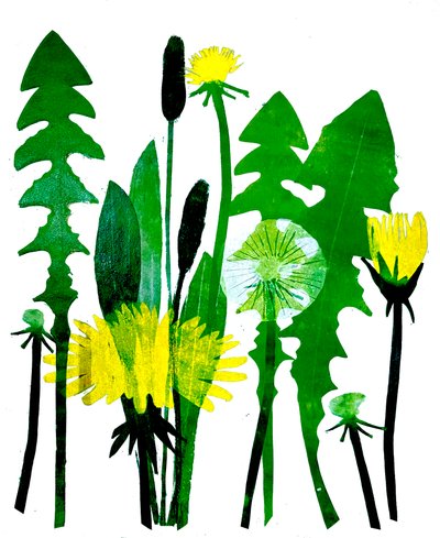 Dandelions, 2024 (olio su tavola) da Sarah Thompson Engels