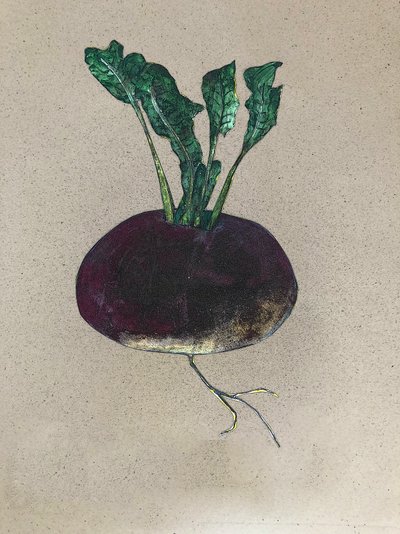 Rapa, 2024 (olio su tela) da Sarah Thompson Engels