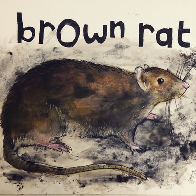 Ratto marrone da Sarah Thompson Engels
