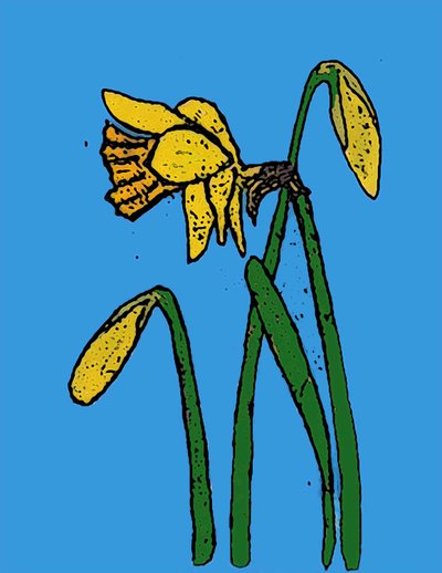 Narcisi da Sarah Thompson Engels