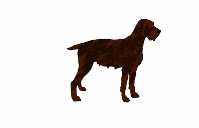 Cane, 2018 da Sarah Thompson Engels