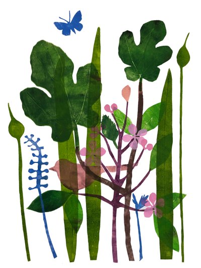 Foglie di fico da Sarah Thompson Engels