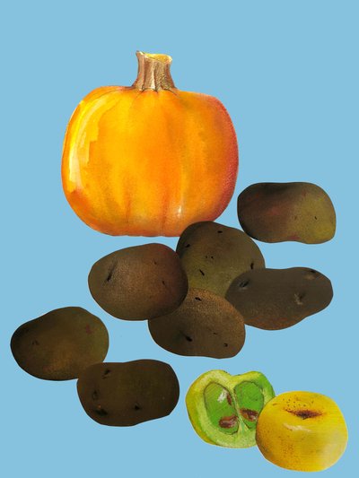 Frutta e verdura, 2020 da Sarah Thompson Engels