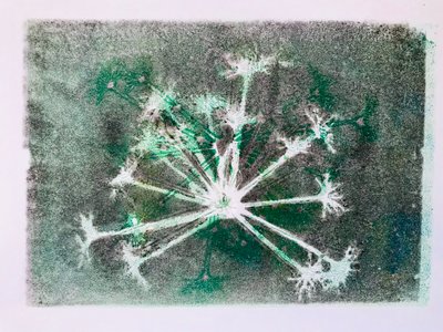 Testa di seme I da Sarah Thompson Engels