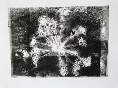 Testa di seme II, 2020 da Sarah Thompson Engels