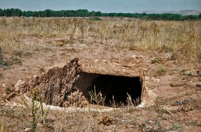 Cultura nuragica (nuraghi) sarda: rovine della città prenuragica sul sito megalitico di Anghelu Ruju: la torre centrale. XX secolo a.C. Alghero, Sardegna, Italia da Sardinia Nuragic Civilization