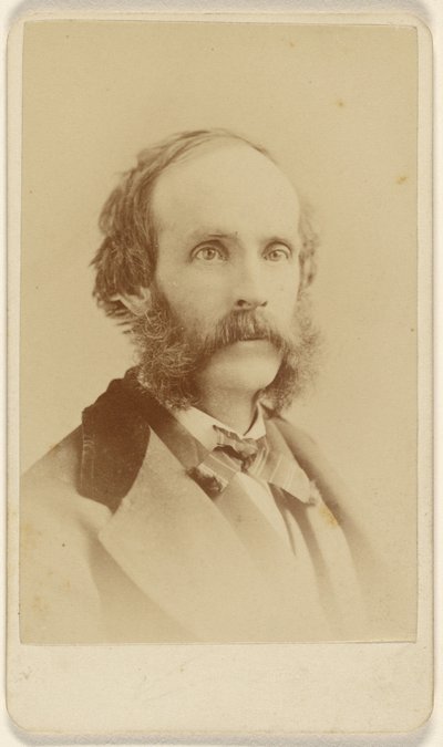 Chiesa [Frederic Edwin] (1826 - 1900) da Sarony and Co.