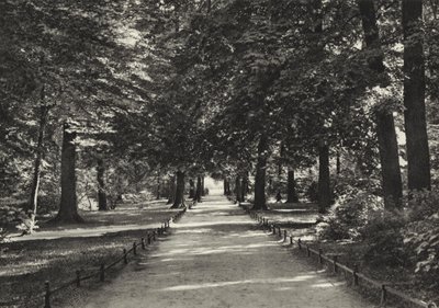 Berlino: Tiergarten da Sasha Stone