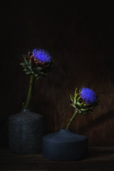  da Saskia Dingemans