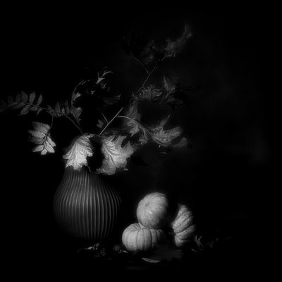  da Saskia Dingemans