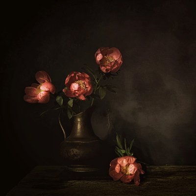 da Saskia Dingemans