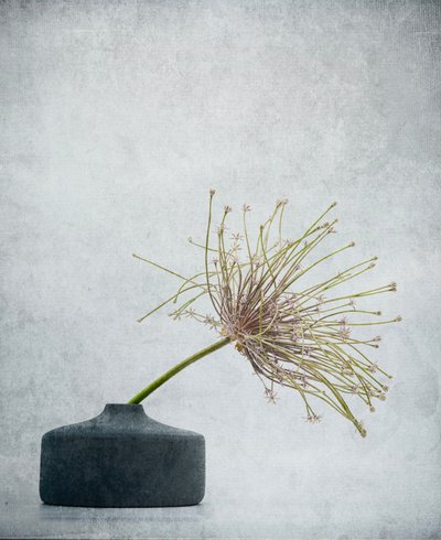  da Saskia Dingemans