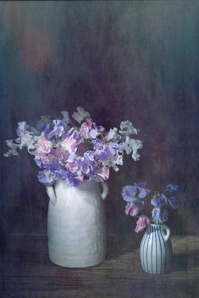  da Saskia Dingemans