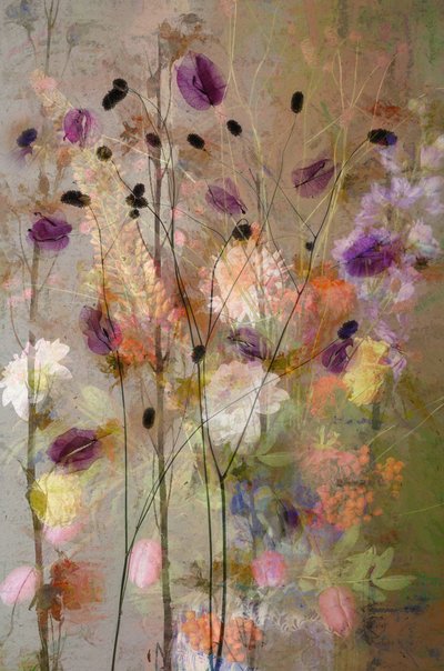  da Saskia Dingemans