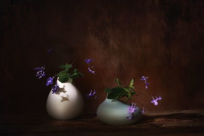  da Saskia Dingemans