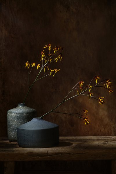  da Saskia Dingemans