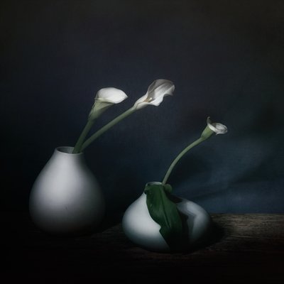 da Saskia Dingemans