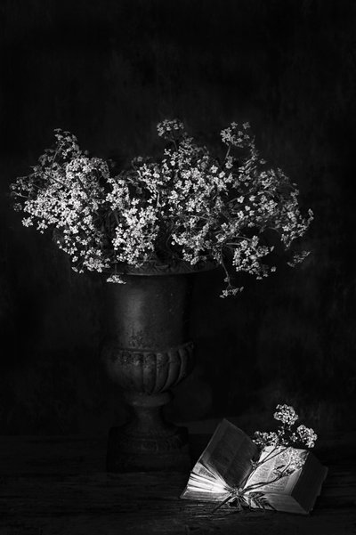  da Saskia Dingemans