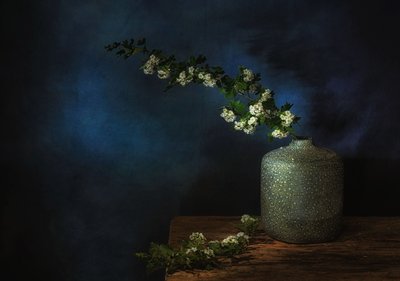  da Saskia Dingemans