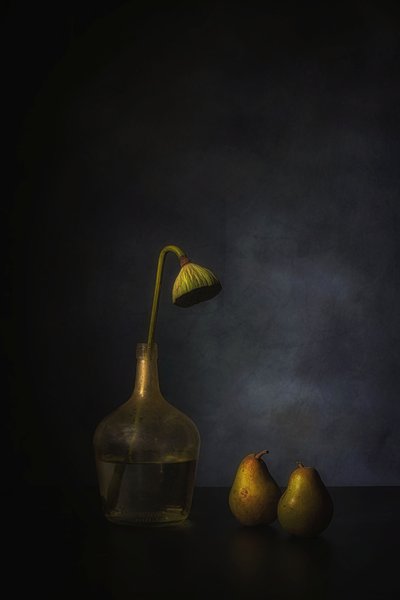  da Saskia Dingemans