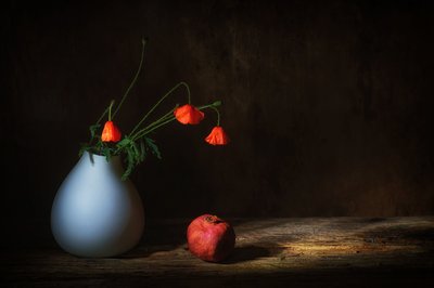  da Saskia Dingemans