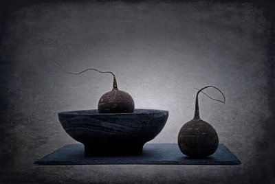  da Saskia Dingemans