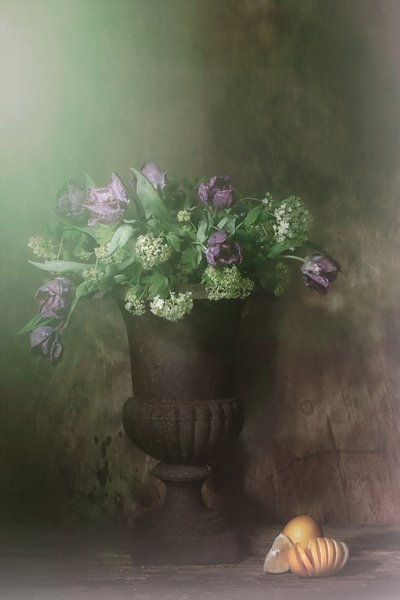  da Saskia Dingemans