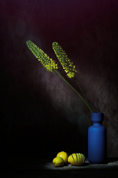  da Saskia Dingemans