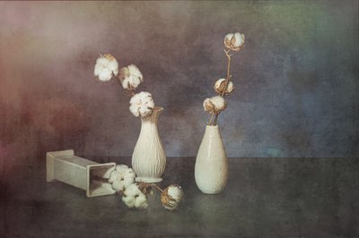  da Saskia Dingemans
