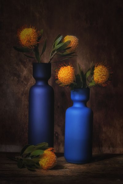  da Saskia Dingemans