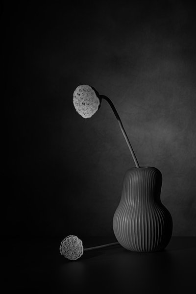  da Saskia Dingemans