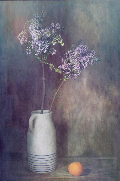  da Saskia Dingemans