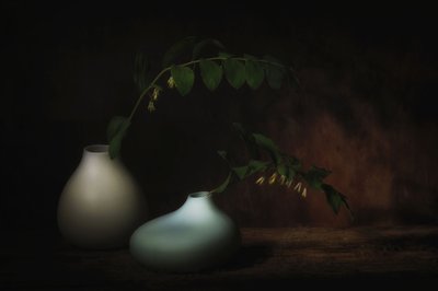  da Saskia Dingemans