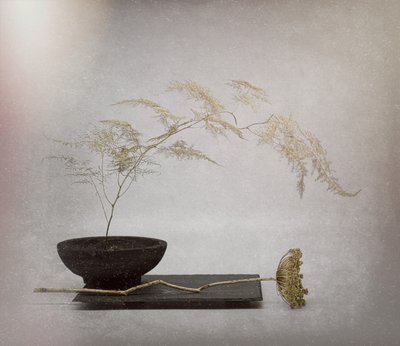  da Saskia Dingemans