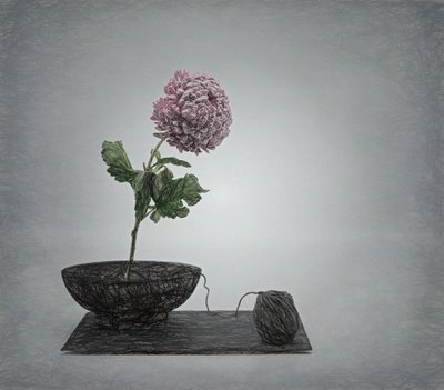  da Saskia Dingemans