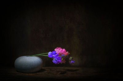  da Saskia Dingemans