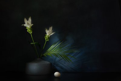  da Saskia Dingemans