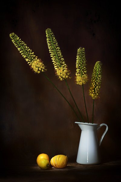  da Saskia Dingemans