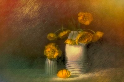  da Saskia Dingemans