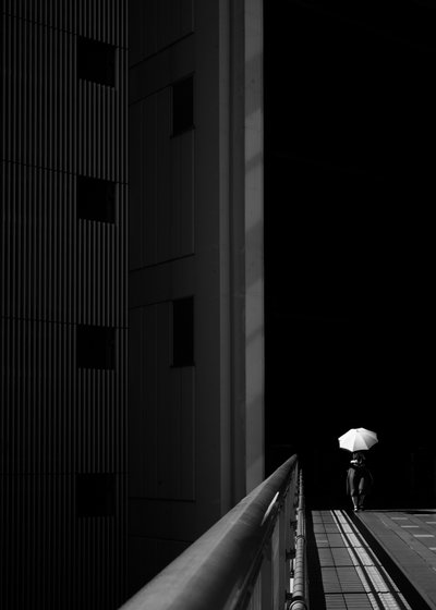 Il camminatore solitario con l