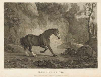 Cavallo in partenza da Sawrey (after) Gilpin