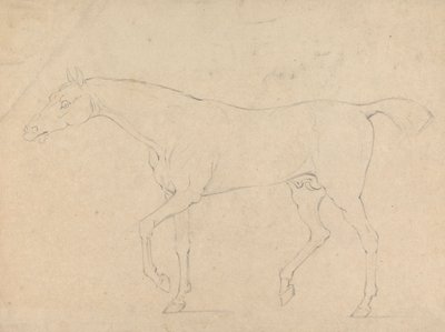Un Cavallo da Sawrey Gilpin