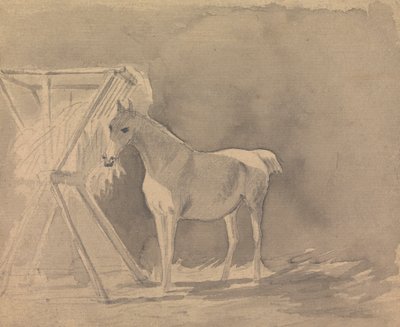 Cavallo al Pascolo da Sawrey Gilpin