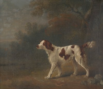 Un setter al margine di un bosco da Sawrey Gilpin