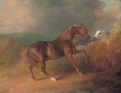 Giove del colonnello Thornton, da Eclipse fuori da una giumenta di Tartar, vicino a una staccionata, con una giumenta grigia, a Thornville Royal da Sawrey Gilpin