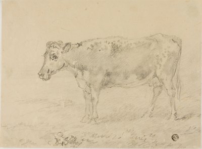 Mucca da Sawrey Gilpin